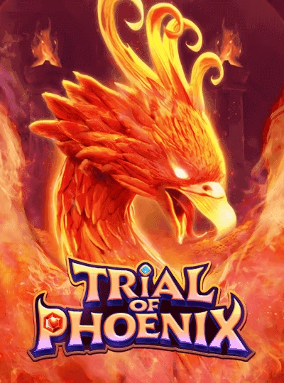 Dragon Tiger card game cover